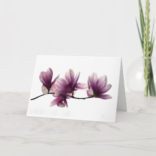 Tarjeta de condolencias con flores de magnolia (Anverso)
