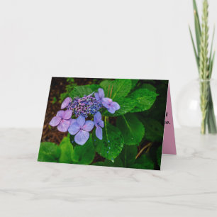 Tarjeta de condolencias con paisaje plegado
