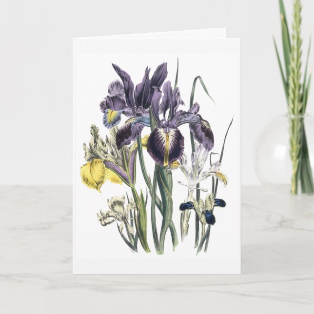 Tarjeta de condolencias de acuarela de Iris actual (Anverso)