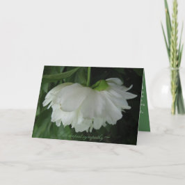 Tarjeta de condolencias de nuestra parte