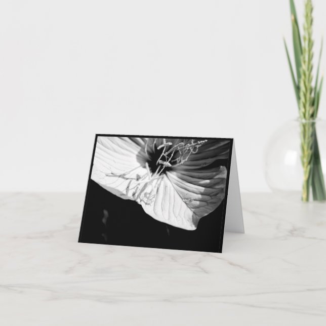 Tarjeta de Condolencias: Flor Sympathy (Anverso)