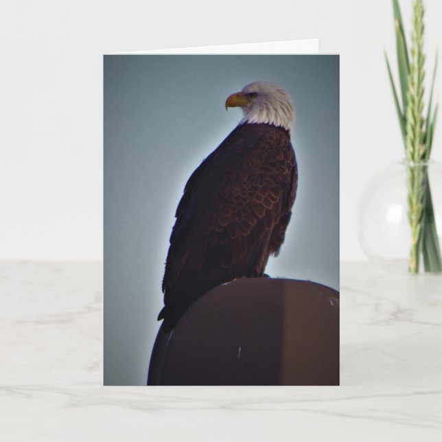 Tarjeta de condolencias "Pájaro Superior" (Anverso)