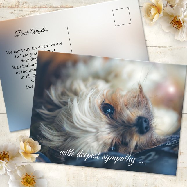 Tarjeta de condolencias para perro (Postcard featuring an image of a dog in a dreamy light. Use a custom photo for sympathy greetings)