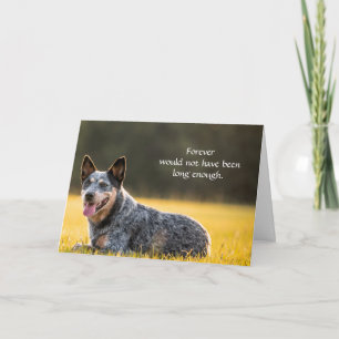 Tarjeta de condolencias para perros por pérdida co