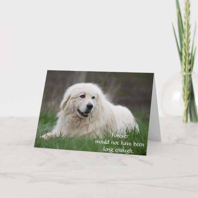 Tarjeta de condolencias para perros por pérdida co (Anverso)