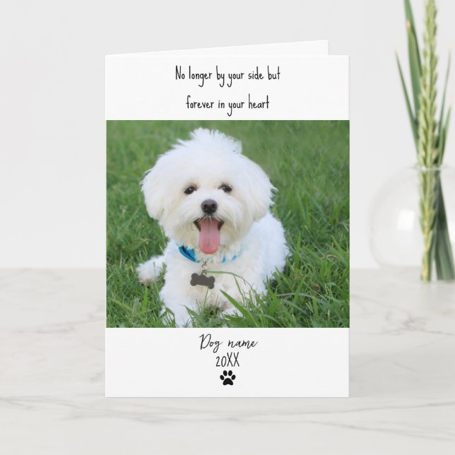 Tarjeta de condolencias para perros por pérdida co (Anverso)