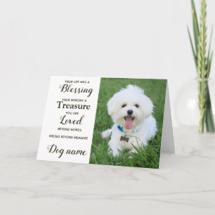 Tarjeta de condolencias para perros por pérdida co