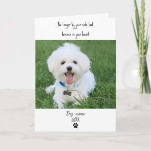 Tarjeta de condolencias para perros por pérdida co