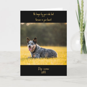Tarjeta de condolencias para perros por pérdida co