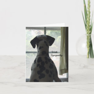 Tarjeta de condolencias -- Pérdida de Perro