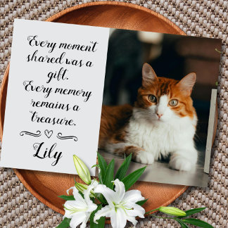 Tarjeta de condolencias por pérdida de gato con fo