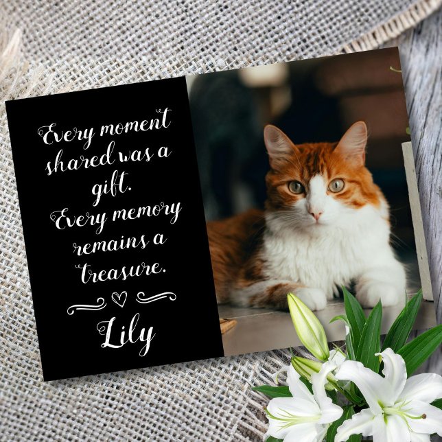Tarjeta de condolencias por pérdida de gato con fo (Cat condolence card)