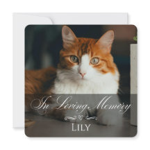 Tarjeta de condolencias por pérdida de gato con fo