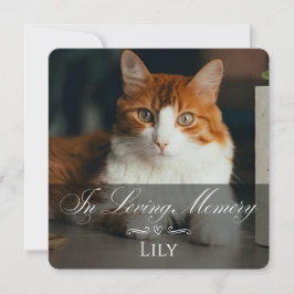Tarjeta de condolencias por pérdida de gato con fo