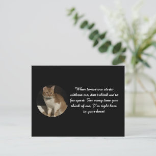 Tarjeta de condolencias por pérdida de gato con no