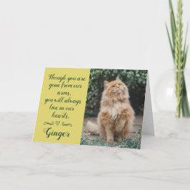 Tarjeta de condolencias por pérdida de gato person