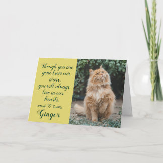 Tarjeta de condolencias por pérdida de gato person