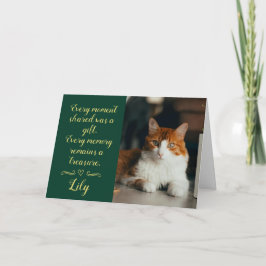 Tarjeta de condolencias por pérdida de gato person