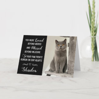 Tarjeta de condolencias por pérdida de gato person
