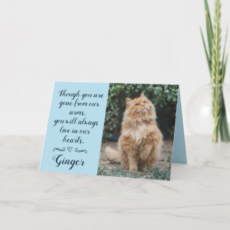 Tarjeta de condolencias por pérdida de gato person