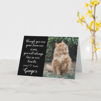 Tarjeta de condolencias por pérdida de gato person