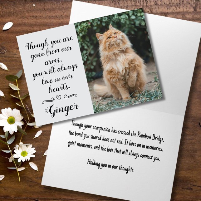 Tarjeta de condolencias por pérdida de gato person (Cat sympathy cards)