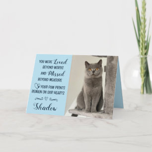 Tarjeta de condolencias por pérdida de gato person