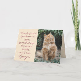 Tarjeta de condolencias por pérdida de gato person