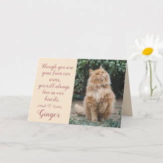 Tarjeta de condolencias por pérdida de gato person