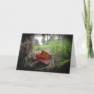 Tarjeta de condolencias “Primer signo del otoño”