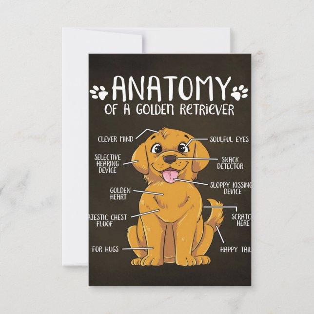 Tarjeta De Confirmación De Asistencia Anatomy Golden Retriever | Golden Retriever Lover (Anverso)