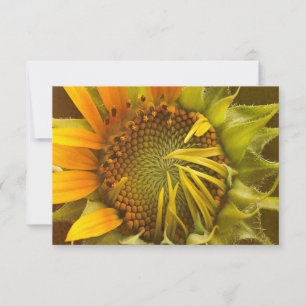 Tarjeta De Confirmación De Asistencia Autumth Warmth Sunflower Note Card