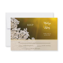 Boda en el campo de la flor de encaje de la Reina 