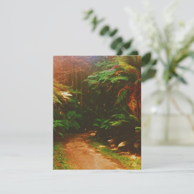 Tarjeta De Confirmación De Asistencia Bosque Wakawakareva (Las secuoyas), Rotorua, NZ (Anverso de pie)