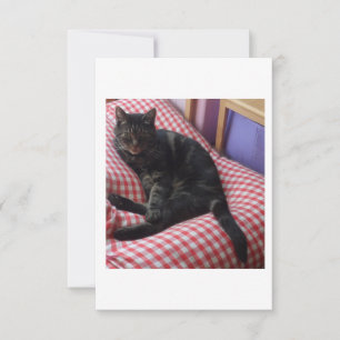 Tarjeta De Confirmación De Asistencia Cute Dave Response Card (RSVP)