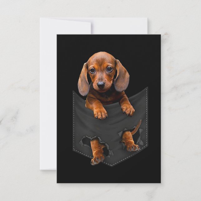 Tarjeta De Confirmación De Asistencia Dachshund En Mi Bolsillo Dachshund Weiner Dog (Anverso)