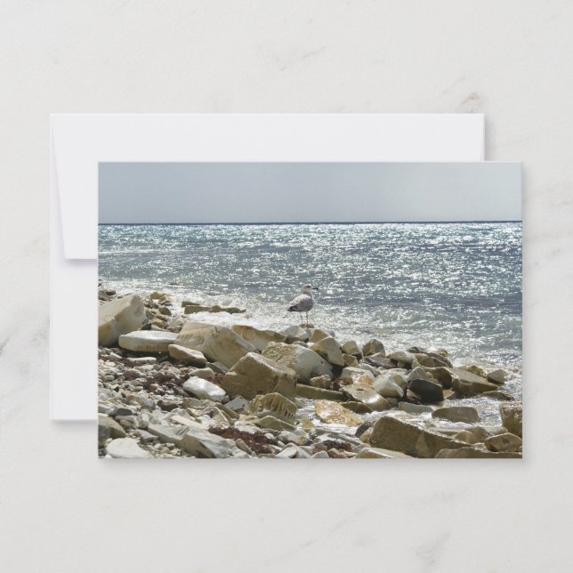 Tarjeta De Confirmación De Asistencia Gaviota y mar (Anverso)