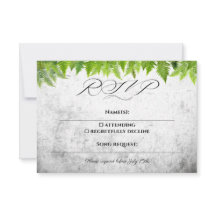 Helechos Románticos Hojas Elegantes Boda Natural