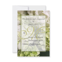 Hydrangea White Green Boda Suite