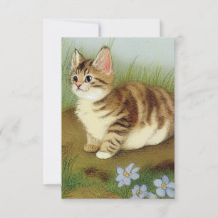 Tarjeta De Confirmación De Asistencia Ilustracion de gatito vintage con flores