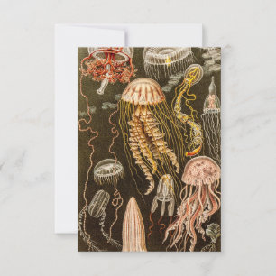 Tarjeta De Confirmación De Asistencia Ilustracion de pescado antiguo de Jelly