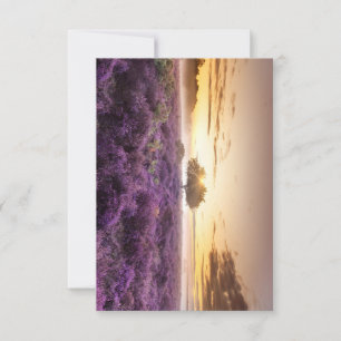 Tarjeta De Confirmación De Asistencia Increíble amanecer de un solo árbol y morado