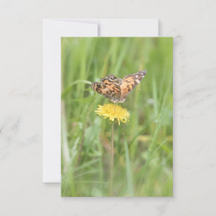 Tarjeta De Confirmación De Asistencia Notecard, la mariposa de la dama pintada norteamer
