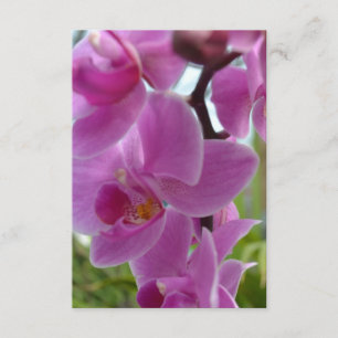 Tarjeta De Confirmación De Asistencia Orquídea Rosa R.S.V.P.