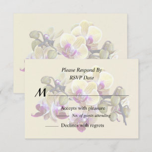 Tarjeta De Confirmación De Asistencia Orquídeas Phalaenopsis Amarillo Pálido y Magenta