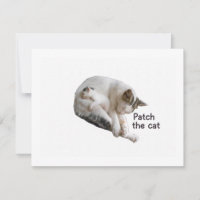 PARCHE EL GATO Y SU KITTEN