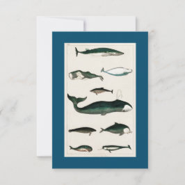 Tarjeta De Confirmación De Asistencia PESCADO DE BALLENA Buceo Scuba