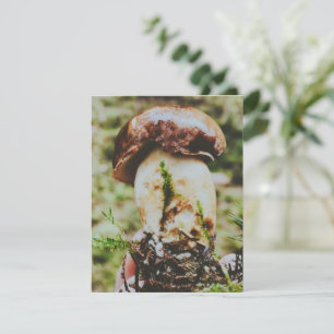 Tarjeta De Confirmación De Asistencia Setas Porcini en el bosque sueco