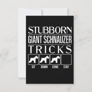 Tarjeta De Confirmación De Asistencia Stubborn Giant Schnauzer Tricks, gracioso gigante