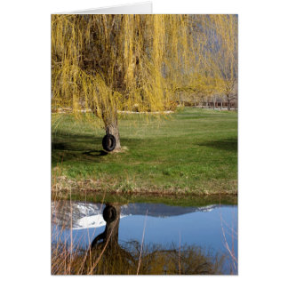 Tarjeta de confort Spring Pond